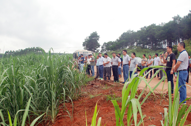 1501114786278243.jpg 人生就是博·(中国大陆) - 官方网站