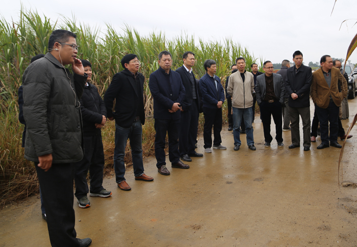 �������ǲ���(�й���½) - �ٷ���վ