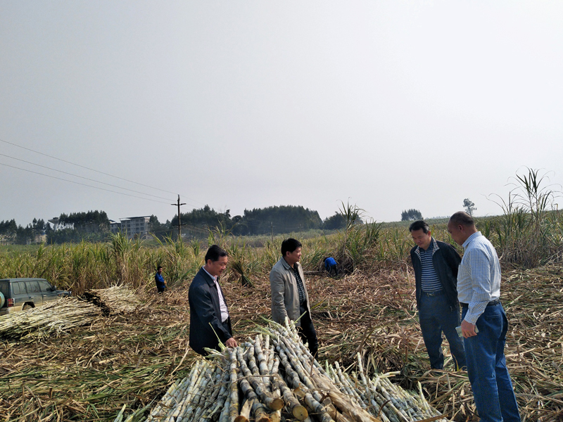 �������ǲ���(�й���½) - �ٷ���վ