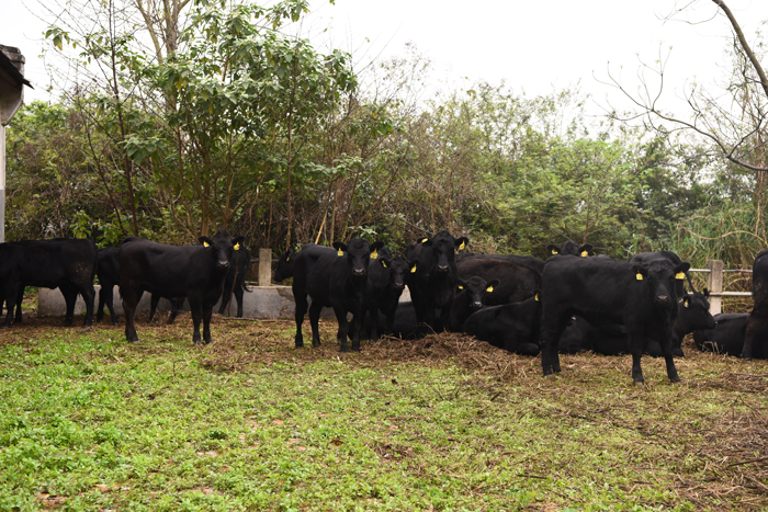 �������ǲ���(�й���½) - �ٷ���վ