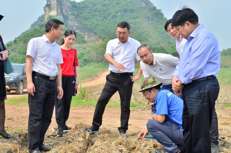 �������ǲ���(�й���½) - �ٷ���վ