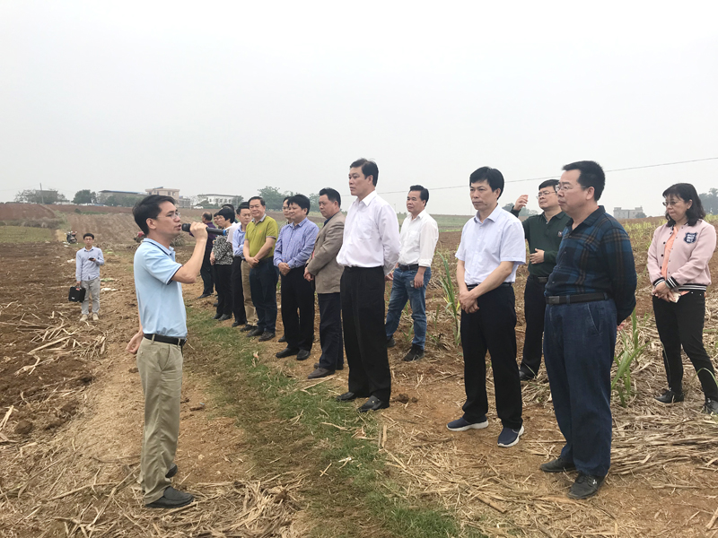 �������ǲ���(�й���½) - �ٷ���վ