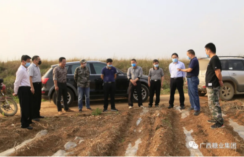 1584435958996831.jpg 1584433870(1).jpg