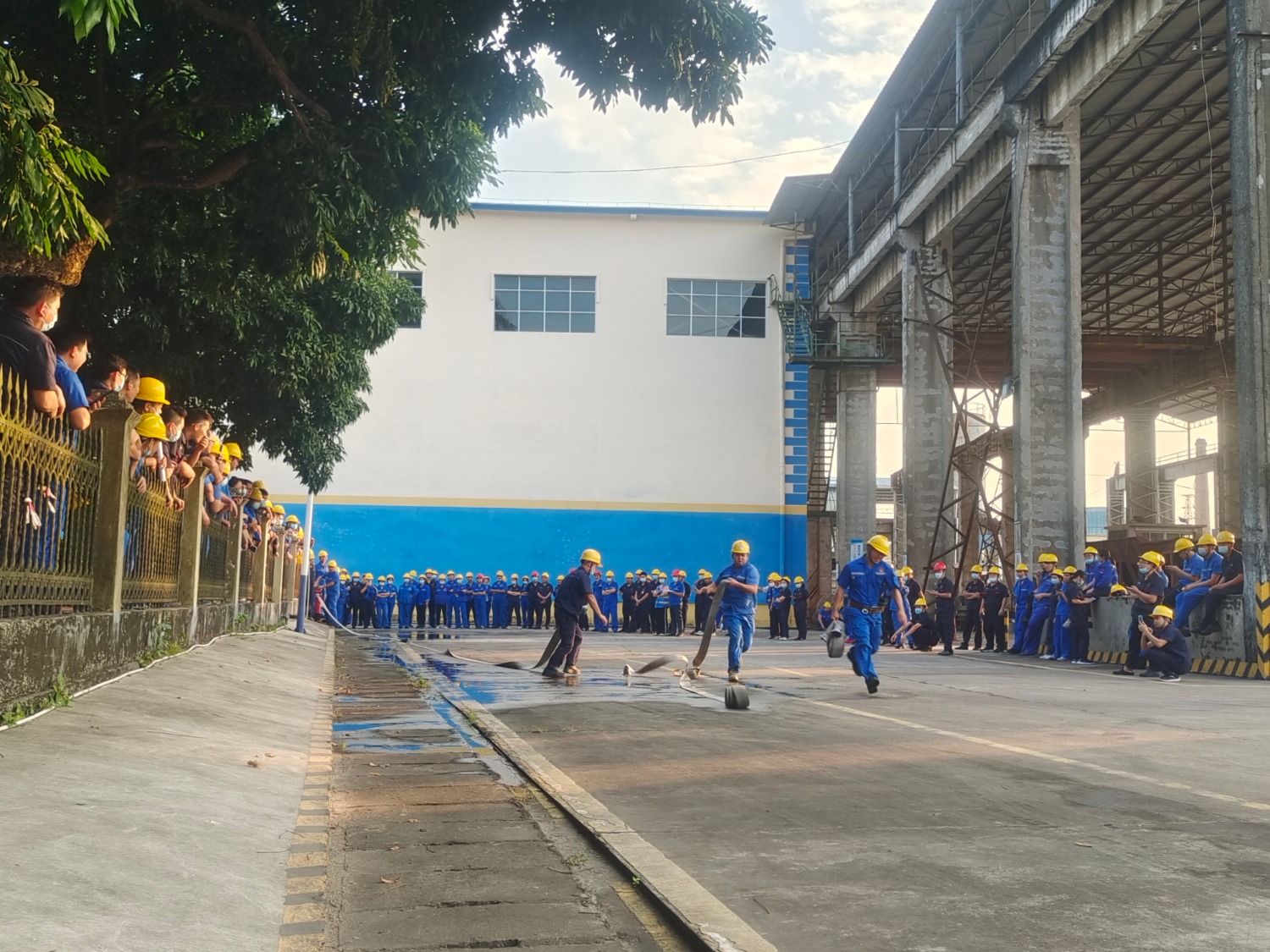 11��8����10�������Ǿ����ǹ�˾��֯Ա����չ�����ܵ�ƴ�ӽ����������� �����ݣ�