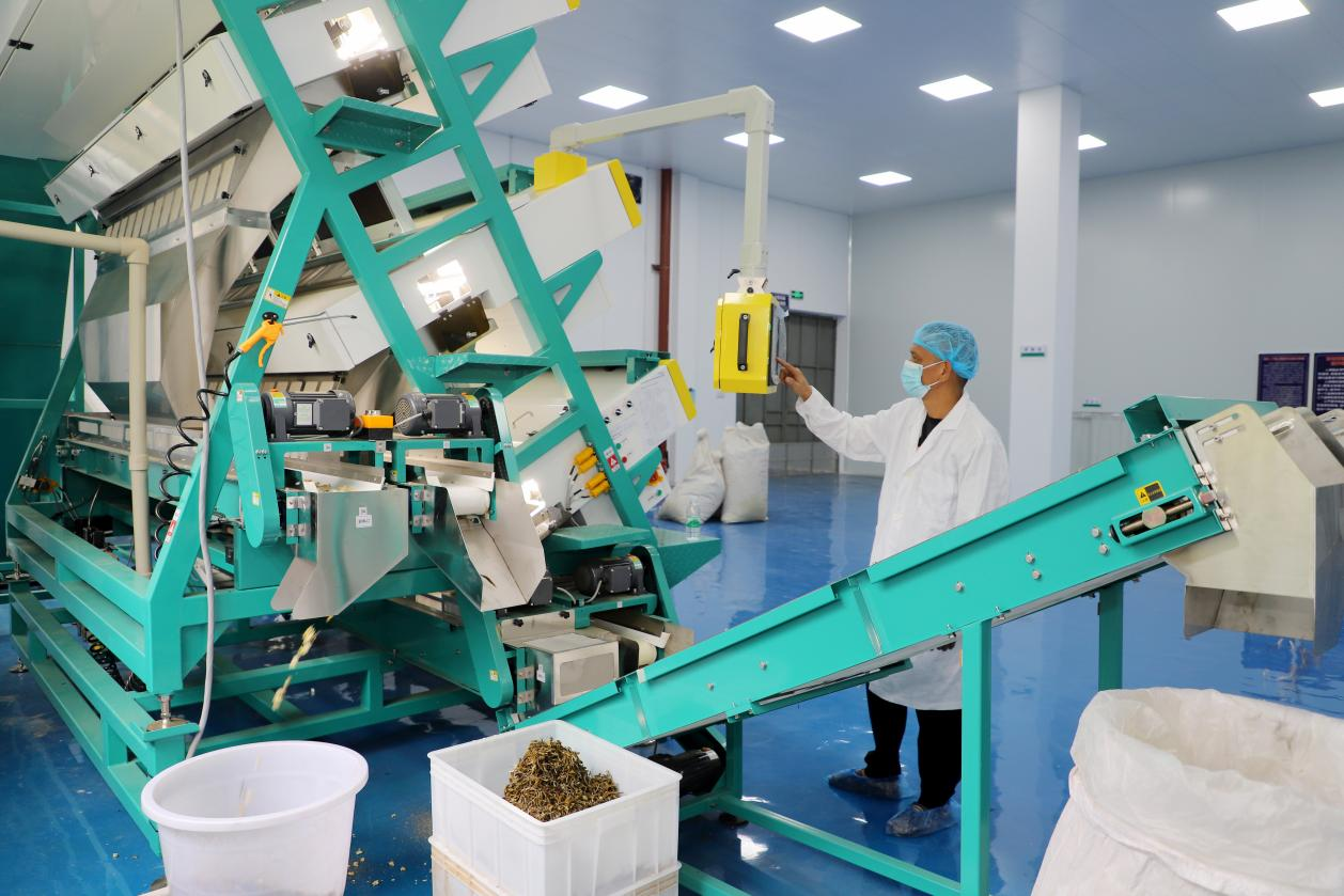 �������ǲ���(�й���½) - �ٷ���վ